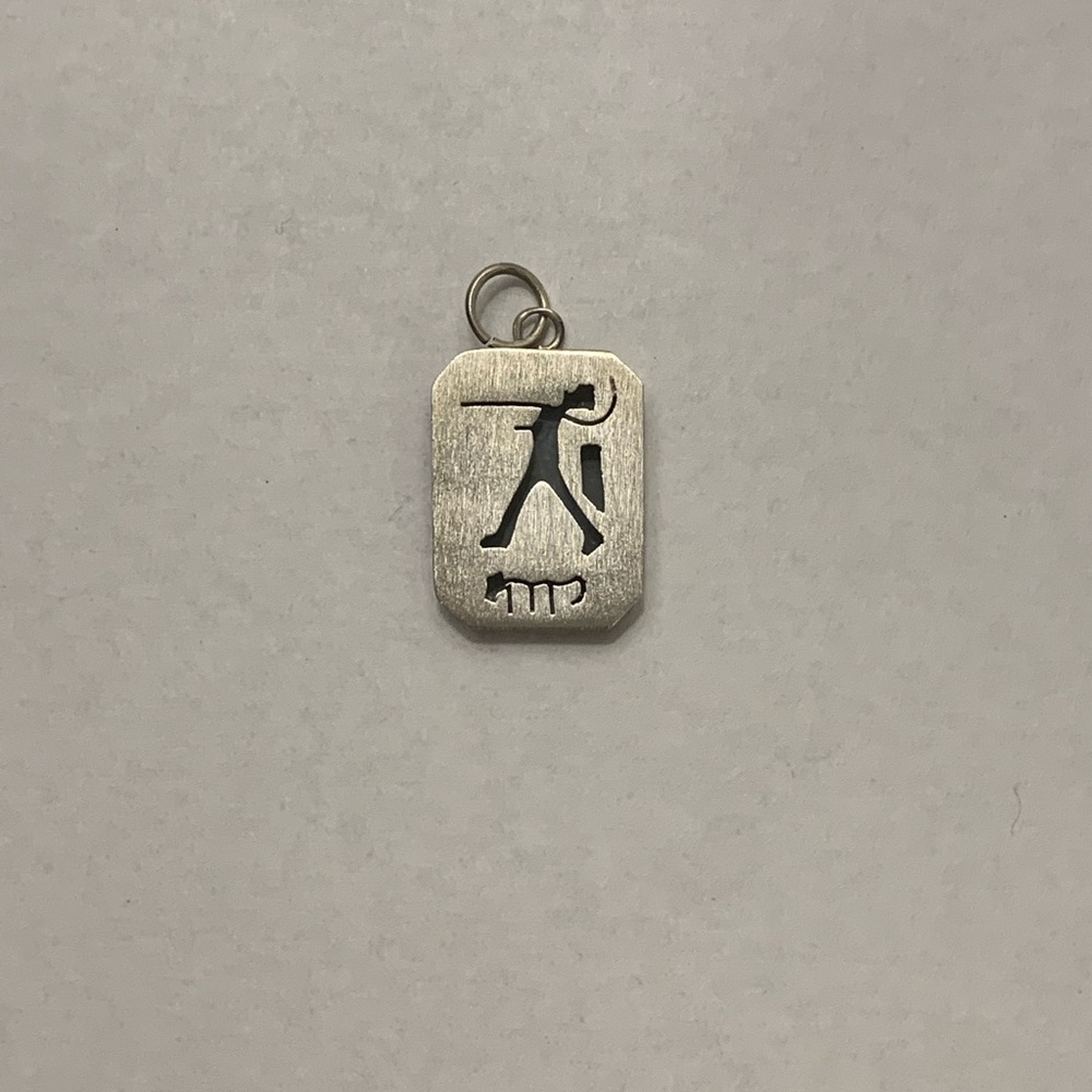Virgo Zodiac 925 sterling silver charm